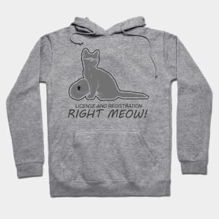 HIGHWAY PATROL: Right Meow Hoodie